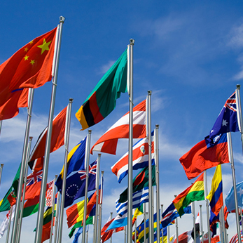 Resiliency Through Effective Risk Management in India