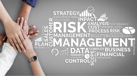 Digital Transformation & Data Reporting in Risk Mgmt.