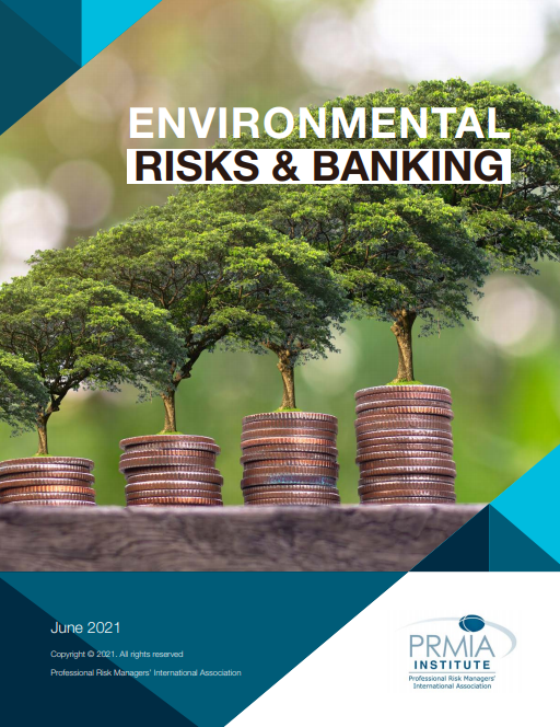 Paper: Environmental Risks & Banking