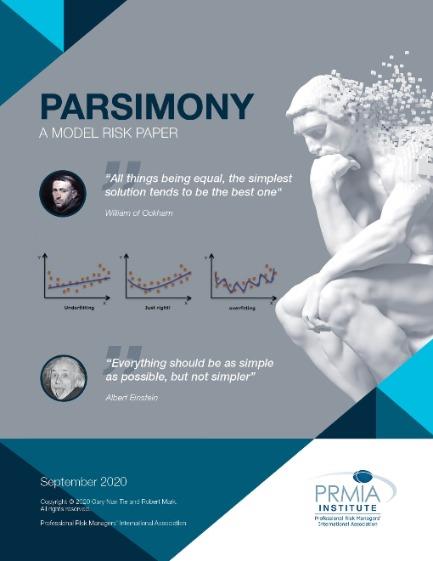 Paper: Parsimony - A Model Risk Paper